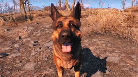 fallout 4 mod dogmeat and companion